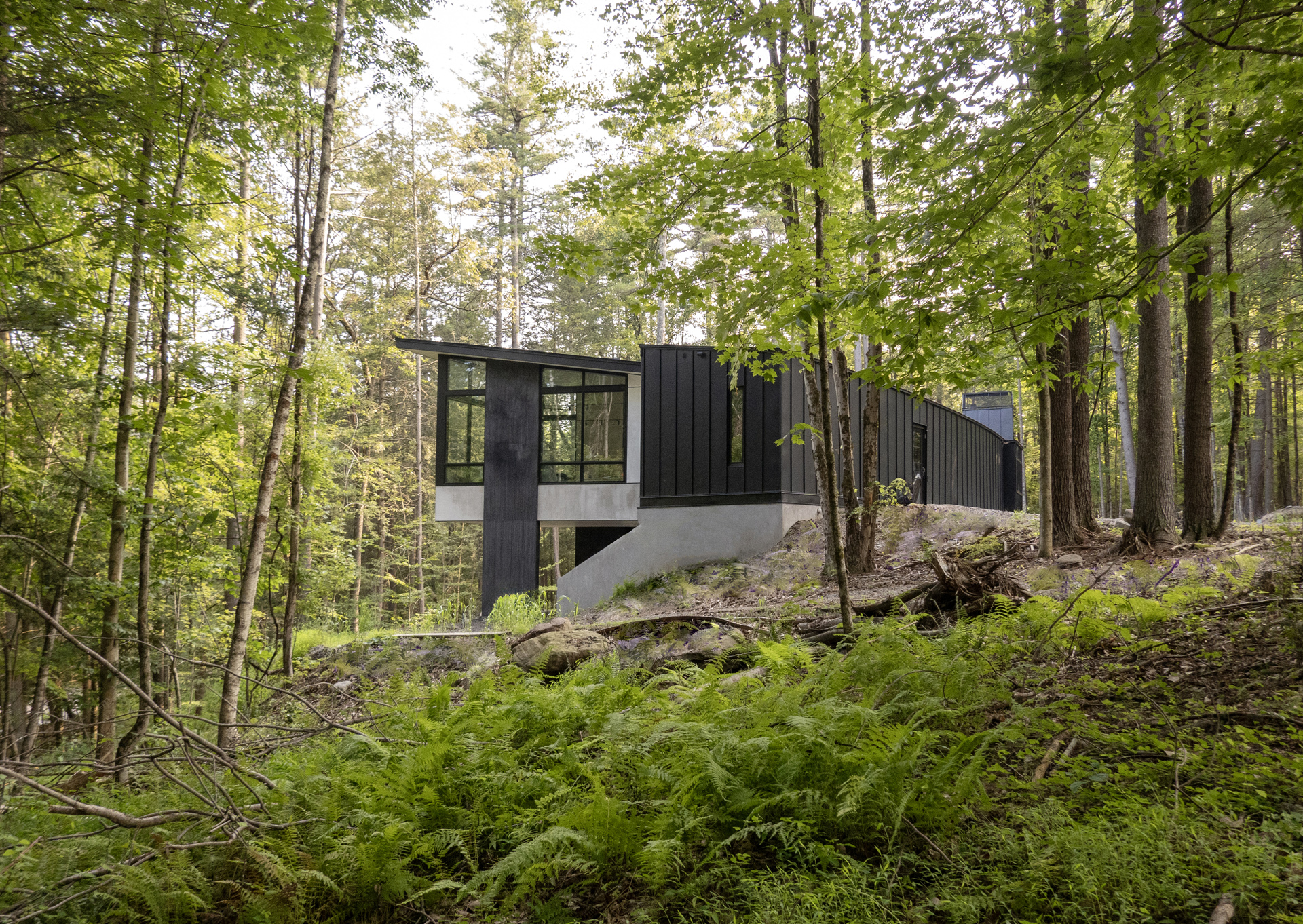 East Elevation - Forest